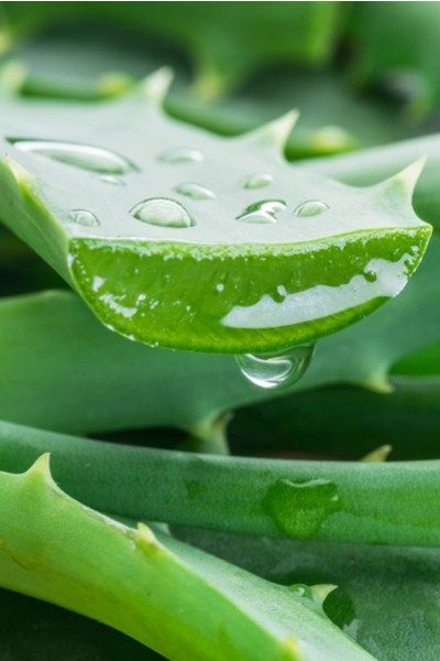VYNE ingredient graphic representing botanical oils