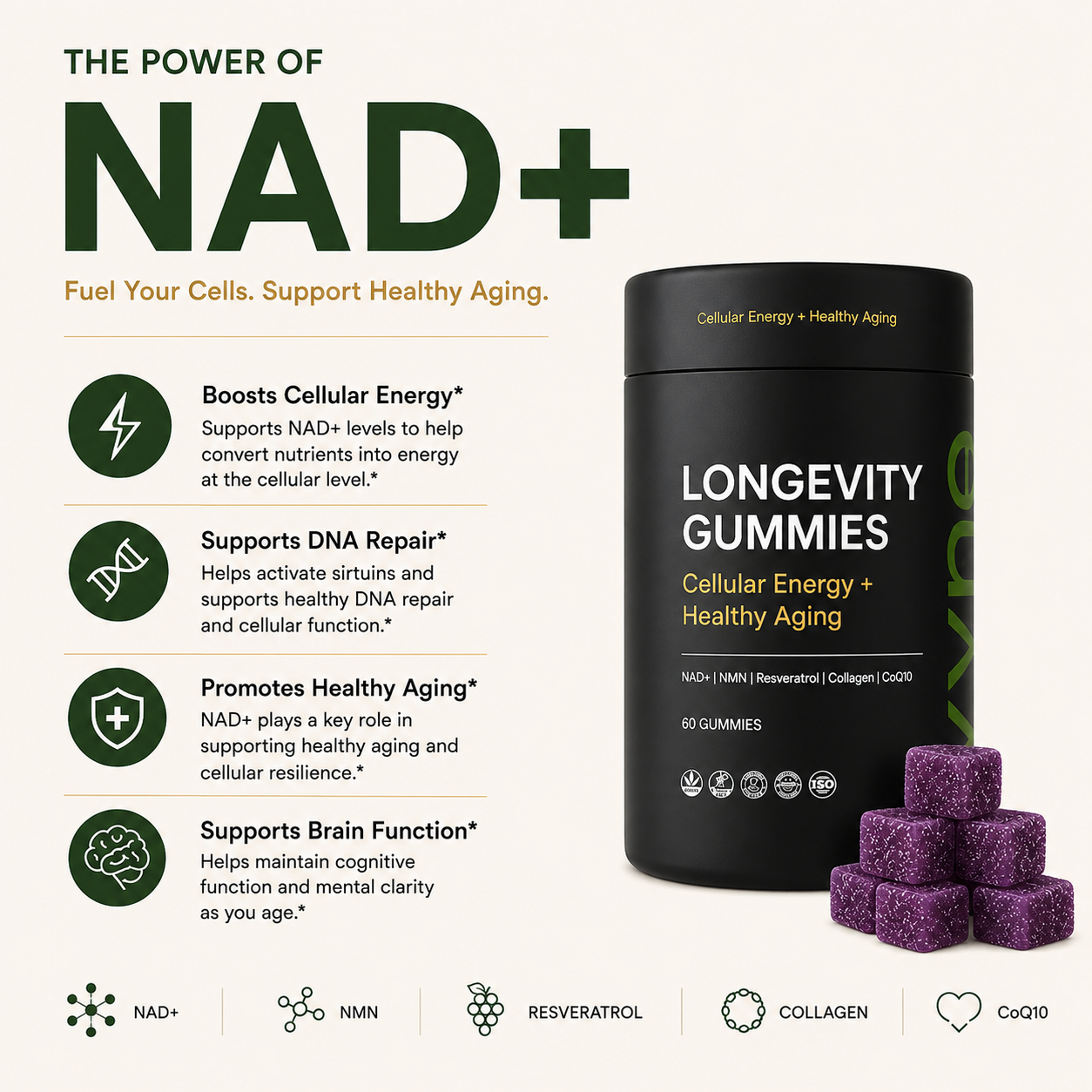 VYNE Longevity Gummies