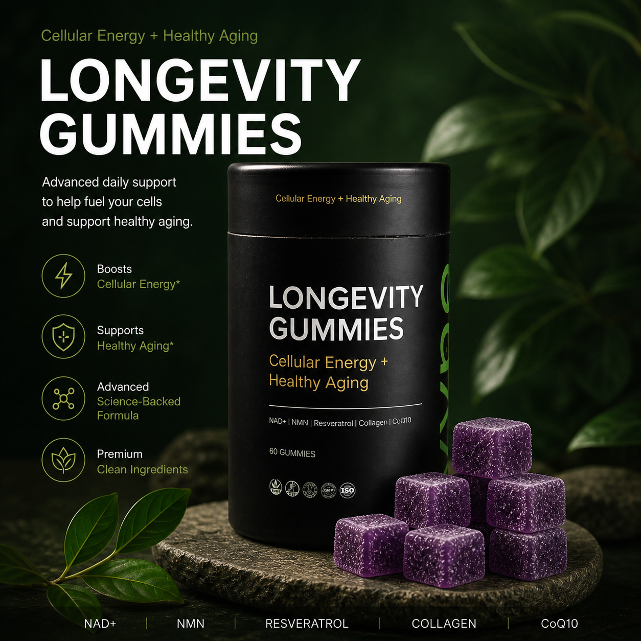 VYNE Longevity Gummies
