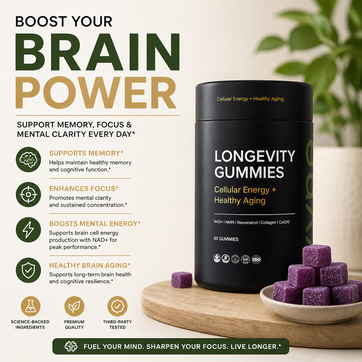 VYNE Longevity Gummies
